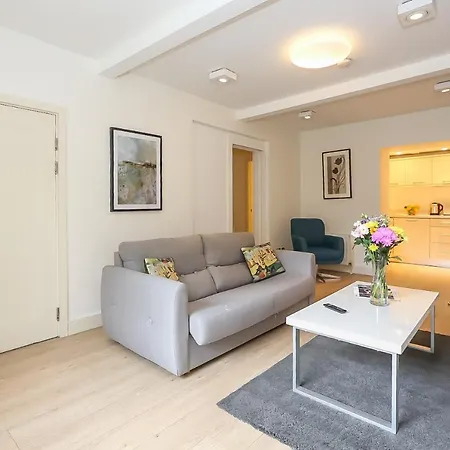 Hatch Street St Stephen's Apartment *